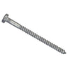 Hillman 5/16 In. x 6 In. Galvanized Hex Lag Screw (50 Ct.)