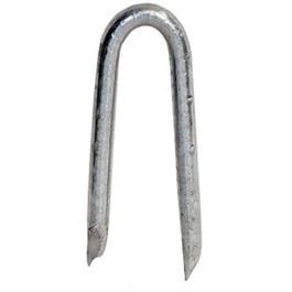 Poultry Staples, Galvanized, 3/4-In., 50-Lbs.