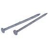 Bright Spike Nails, 50-Lb. 3/8- In. x 10