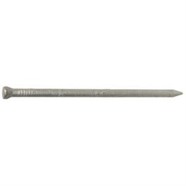Casing Nails, Galvanized, 10D, 3-In., 1-Lb.